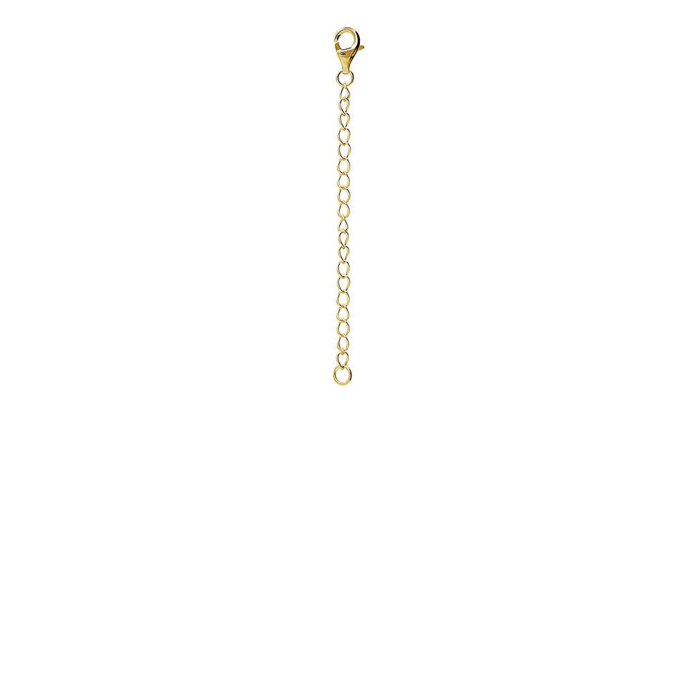 Chain Extension Set in Gold Flashed Sterling Silver, 6 of 8